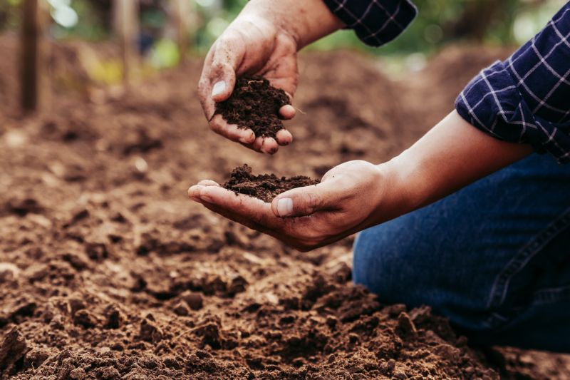 Earthwork Service