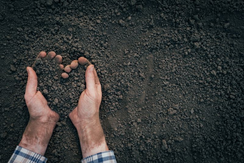 Earthwork Service