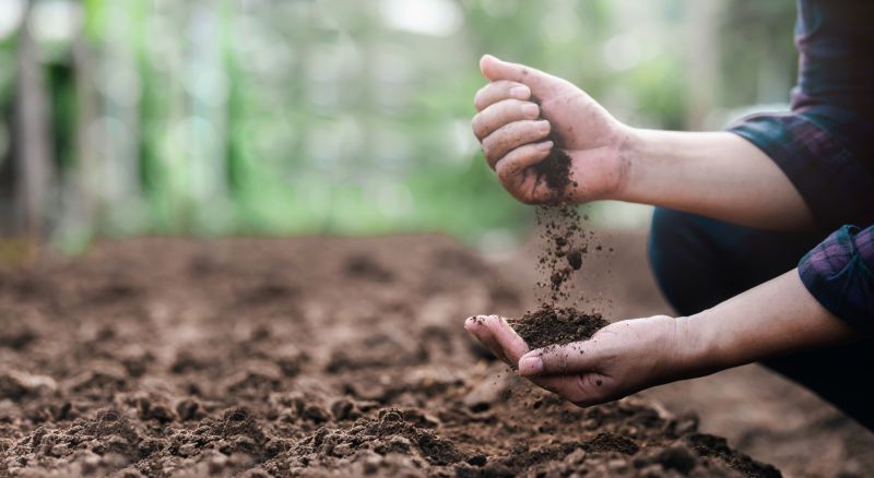 Earthwork Service